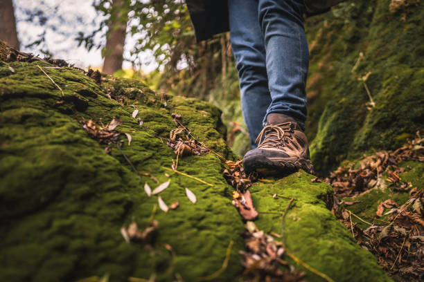 istock close up of the boot descend around greenery forest 2182171451