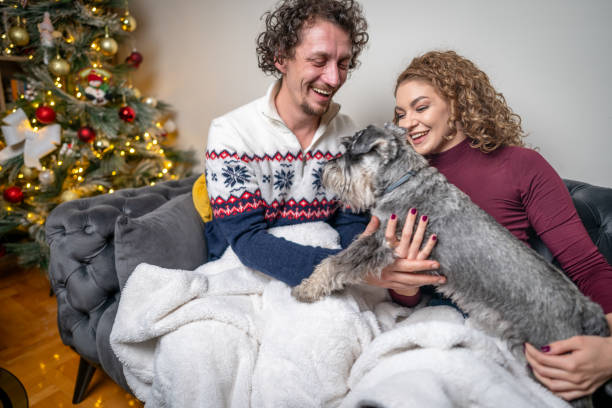 istock Celebrating Christmas with our dog 2182171555