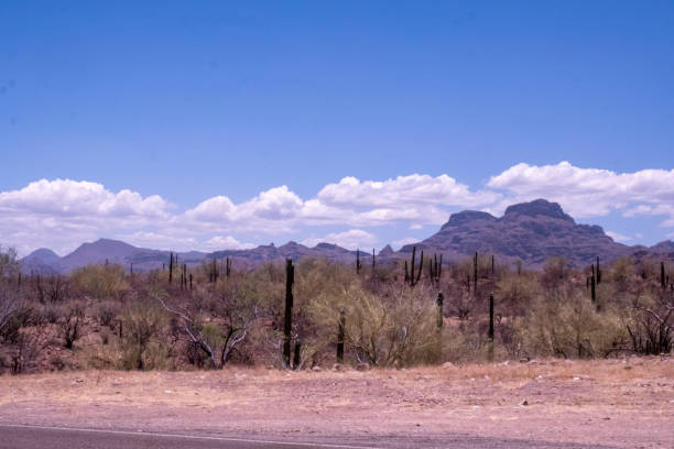istock Baja California Mexico 2182174098