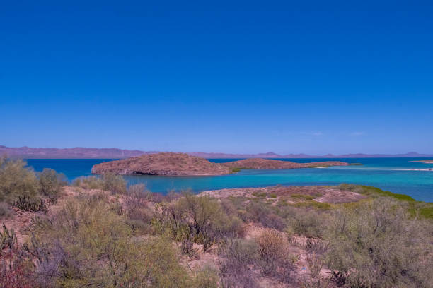 istock Bahia Conception in Baja California Mexico 2182174198