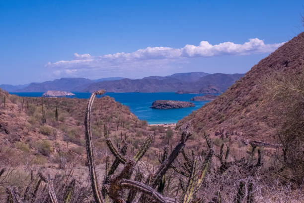 istock Bahia Conception in Baja California Mexico 2182177562