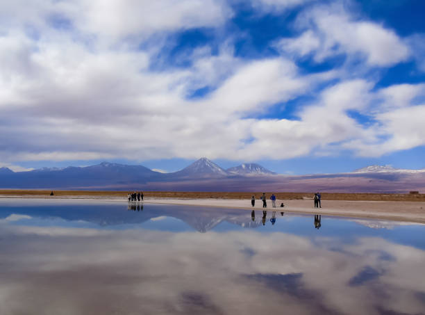 Reflection of Licancabur Volcano in the Cejar Lagoon close to San Pedro de Atacama. Shot taken in the Atacama Desert.