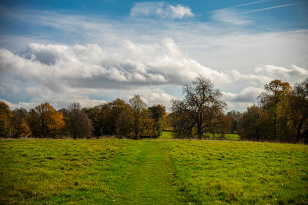 istock Green pasture and autumn trees while a sunny day. 2182178065