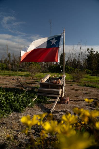 istock Chilean flag in rural landscape 2182179561
