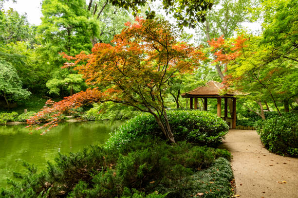 istock Pond Scene in Japanese Garden 2182180627