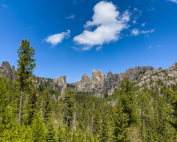 istock The Needles in Custer State Park, Black Hills, South Dakota 2182180696