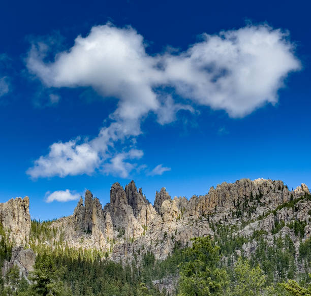 The Needles Rock Formations in Custer State Park, Black Hills, South Dakota