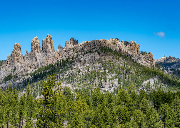 istock The Needles in Custer State Park, Black Hills, South Dakota 2182180725