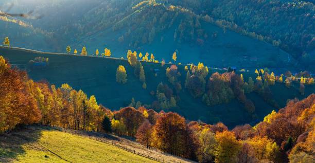 istock Autumn landscape with colorful trees on hills. 2182180920