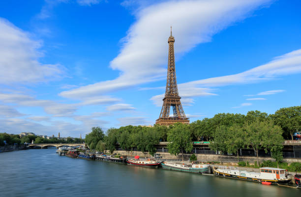 a Swan watching the eifeltower
