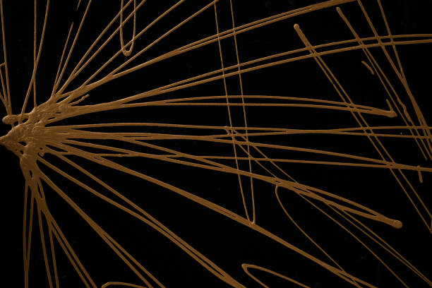 Abstract Gold Paint Splatter on Black Background.