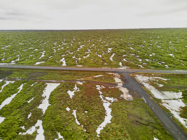 Aerial view of an empty asphalt road crossing a vast green icelandic landscape covered in moss