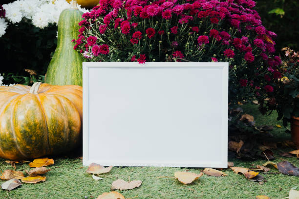 istock A blank frame surrounded by vibrant flowers and pumpkins in a garden setting, mock up 2182188952