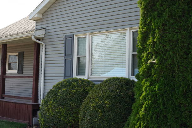 istock house with light gray siding and a large front window with white trim and closed blinds 2182190681