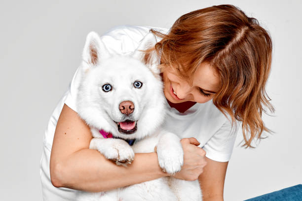 istock Smiling Woman Hugging Her Happy White Husky 2182192087