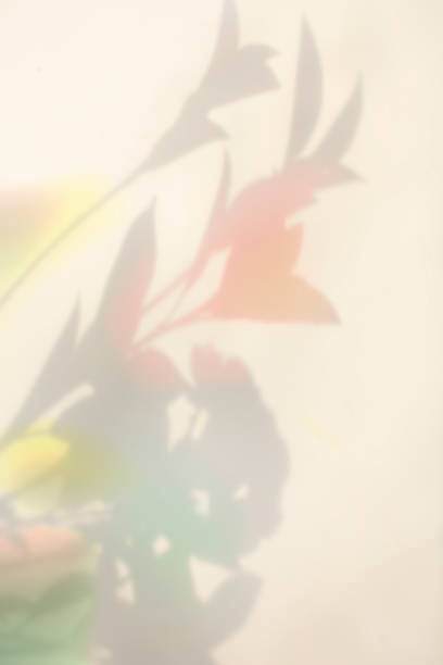 istock Colorful plant shadows and aurora-colored background 2182195707