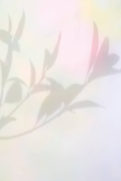 istock Colorful plant shadows and aurora-colored background 2182195735