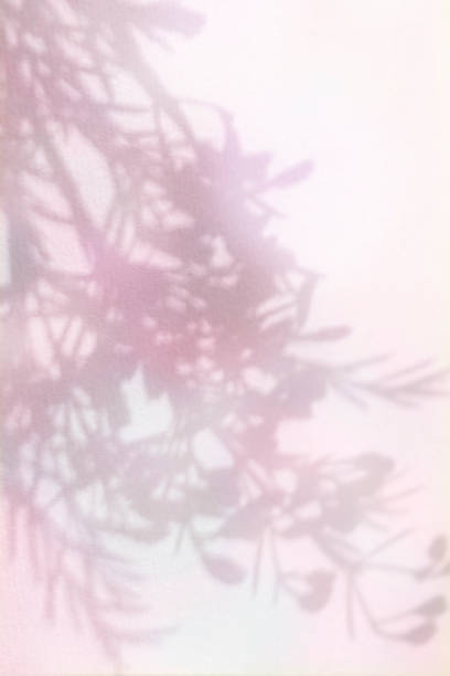 istock Colorful plant shadows and aurora-colored background 2182195756