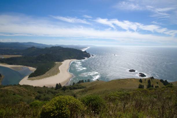 istock View of Pacific Coast beach from above 2182203174