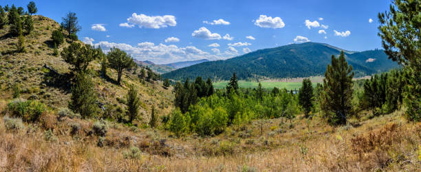 Meadow in the Gros Ventre Mountains