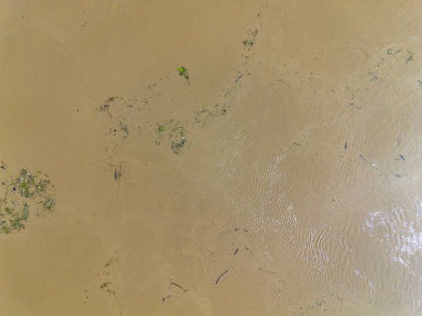 istock Mudflow of water in the Oder River of brown color. Poland. View from above. Background. 2182205015