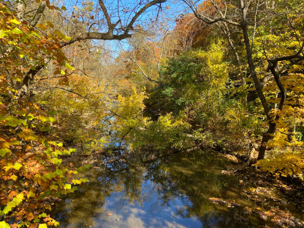 istock Fall Foliage at Rock Creek Park in Washington DC 2182205132