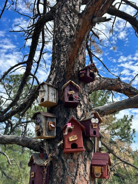 istock Home Sweet Home 2182208175