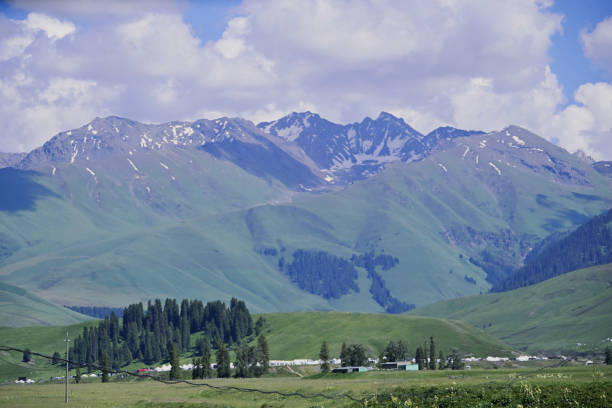 istock Forests and meadows of the Ili Valley 2182211541