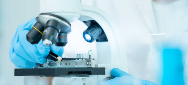 istock Scientist analyze biochemical samples in advanced scientific laboratory. Medical professional use microscope look microbiological developmental of viral. Biotechnology research in science lab. 2182212405