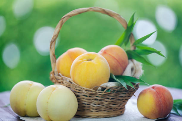 Fresh three kinds of peaches on blurred greenery background, Three colored peaches in basket on wooden table in garden.