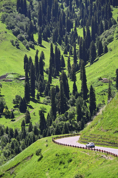 istock Forests and meadows of the Ili Valley 2182212431