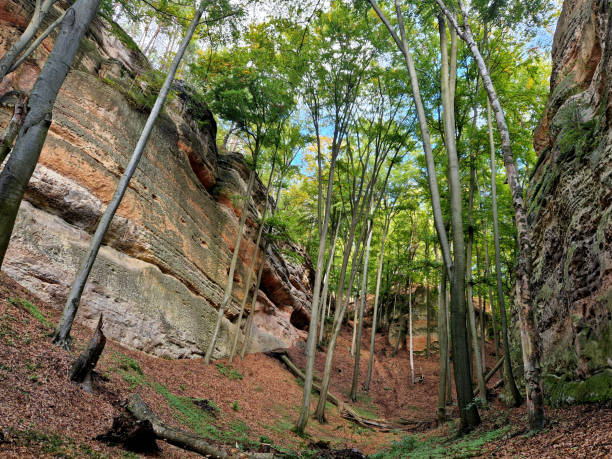 istock rocky gorge with overhangs and caves. a quiet meditative space to walk. mammoth hunters slept here in the past 2182218441