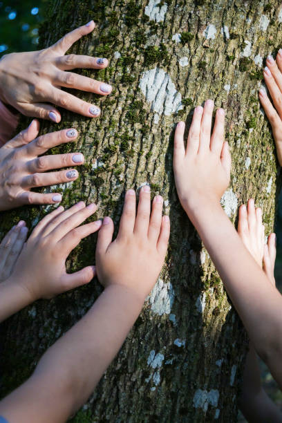 istock A diverse group of people is touching a tree with their hands gently 2182221773