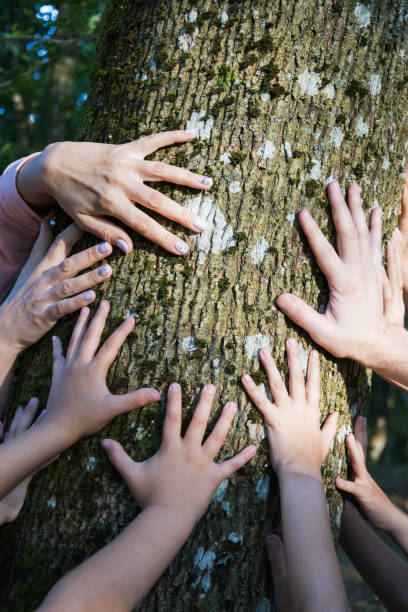 istock A diverse group of people is touching a tree with their hands gently 2182221799