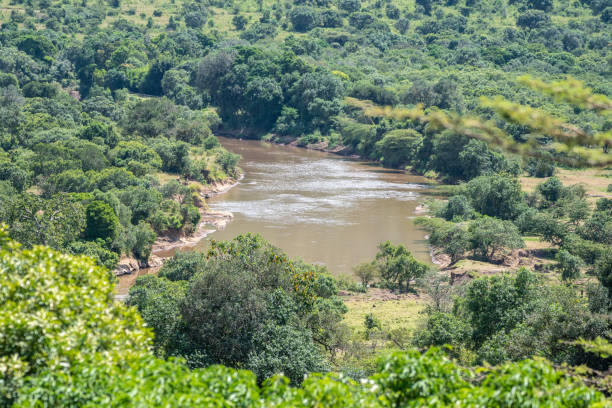 istock A beautiful river gracefully flowing through a lush green forest in Kenya 2182223465