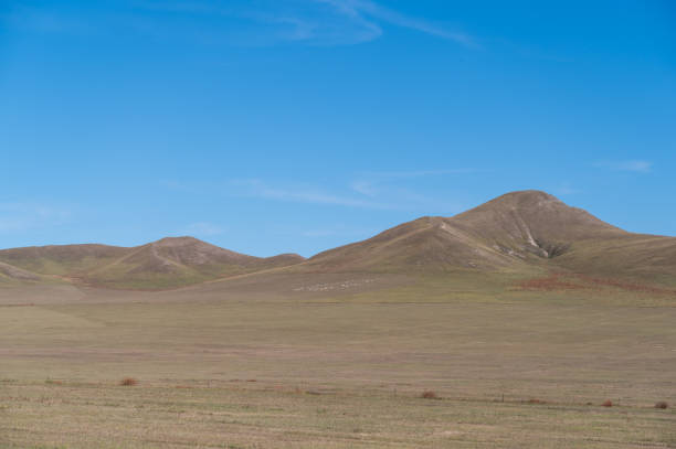 istock Natural scenery on the grassland 2182225716