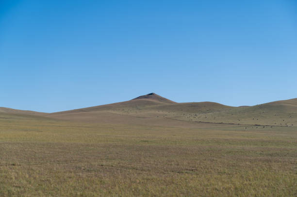 Natural scenery on the grassland