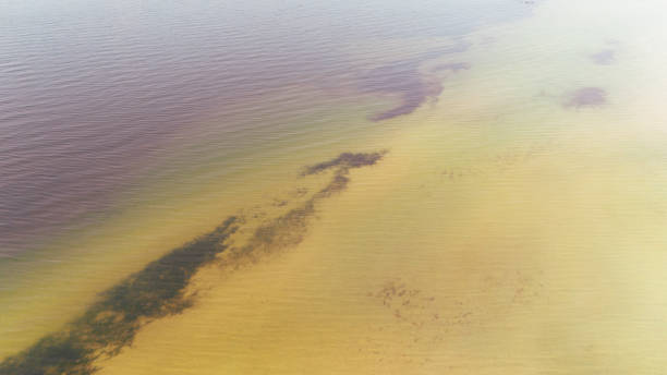 istock Aerial View of Shallow Coastal Waters with Sandbars and Algae 2182232124