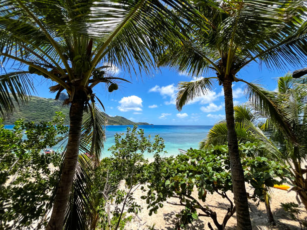 istock A view from a tropical island resort reveals a pristine beach and vibrant coastline with clear water extending into a picturesque channel 2182239072