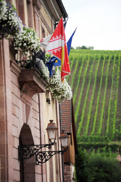 istock Lanterns & vineyards in Riquewihr 2182239769