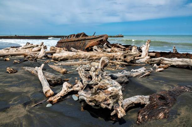 istock Driftwood and Shipwreck on Sandy Beach 2182239985