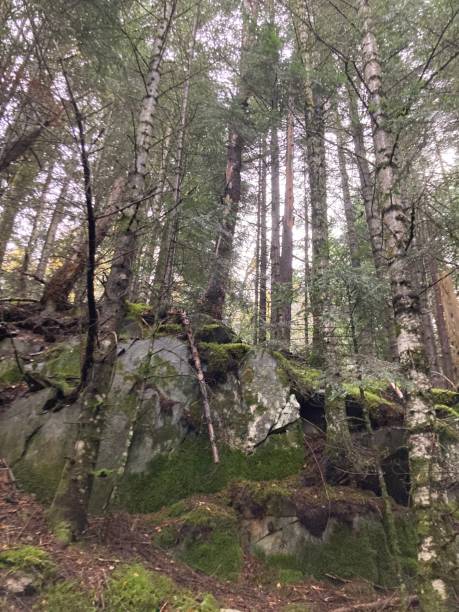 istock Autumn Pyrenees Scene, Catalnya, Spain 2182245845
