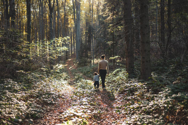 istock Mother and son enjoying the afternoon walk in the forest 2182247227