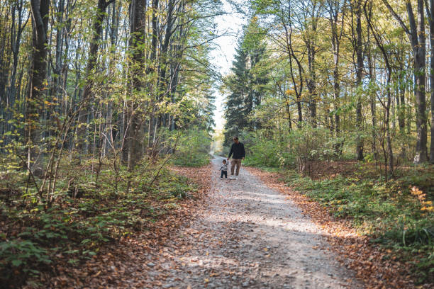istock Father and son walking around the forest 2182247431