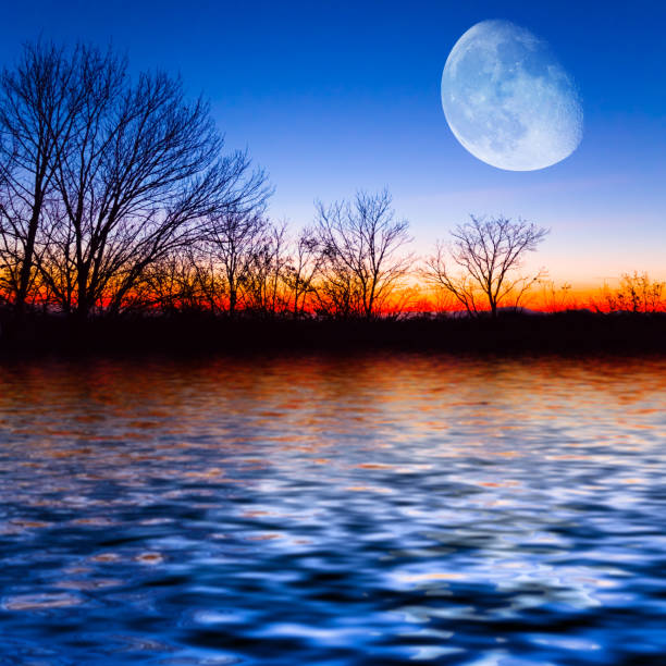 half moon rising above forest on calm lake coast