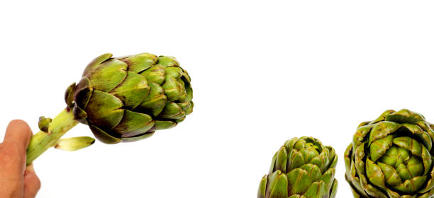 Healthy raw food