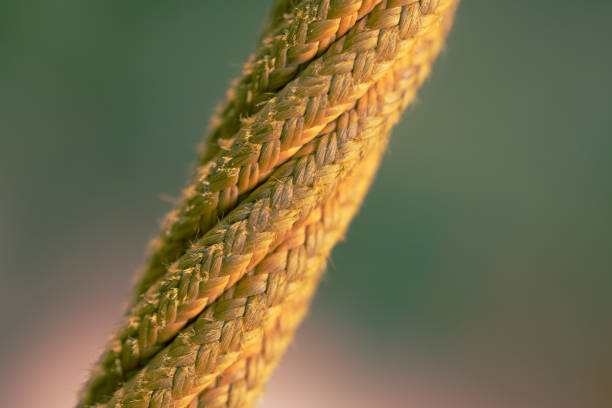 Close-up of tangled string