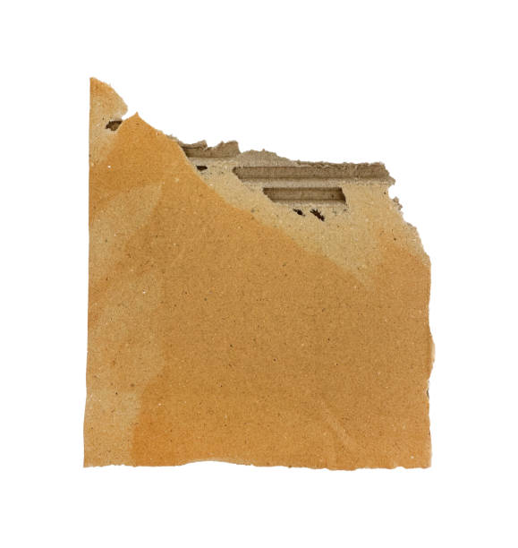 istock Brown Ripped Corrugated Cardboard Piece 2182261583