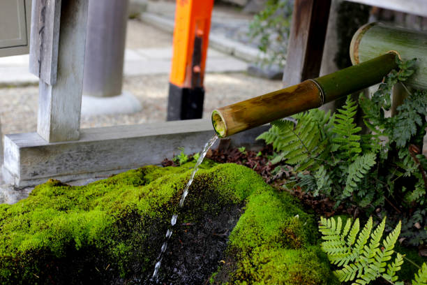 A watering place and ladle for purifying hands in a Japanese garden.