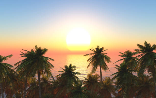 Computer generated 3D illustration with palm trees at the sea at sunset
